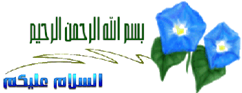 الجيريا