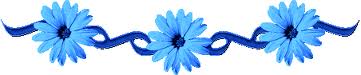18 - صور غريبة