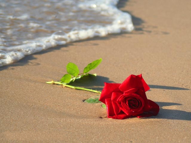 ث - صور نسائية