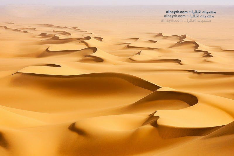 غابات , اجمل الصور - صور غريبة
