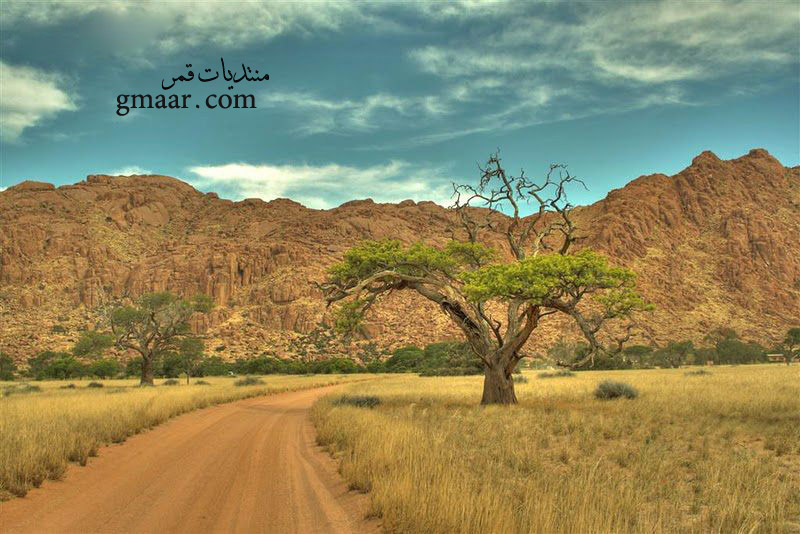 www.gmaar.com/vb - صور غريبة