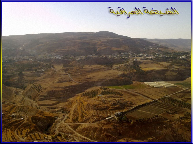 2 - صور غريبة