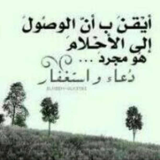 ●₪ مــــــزاجك "بصـــــورة" ₪● - صفحة 47 9397225e20